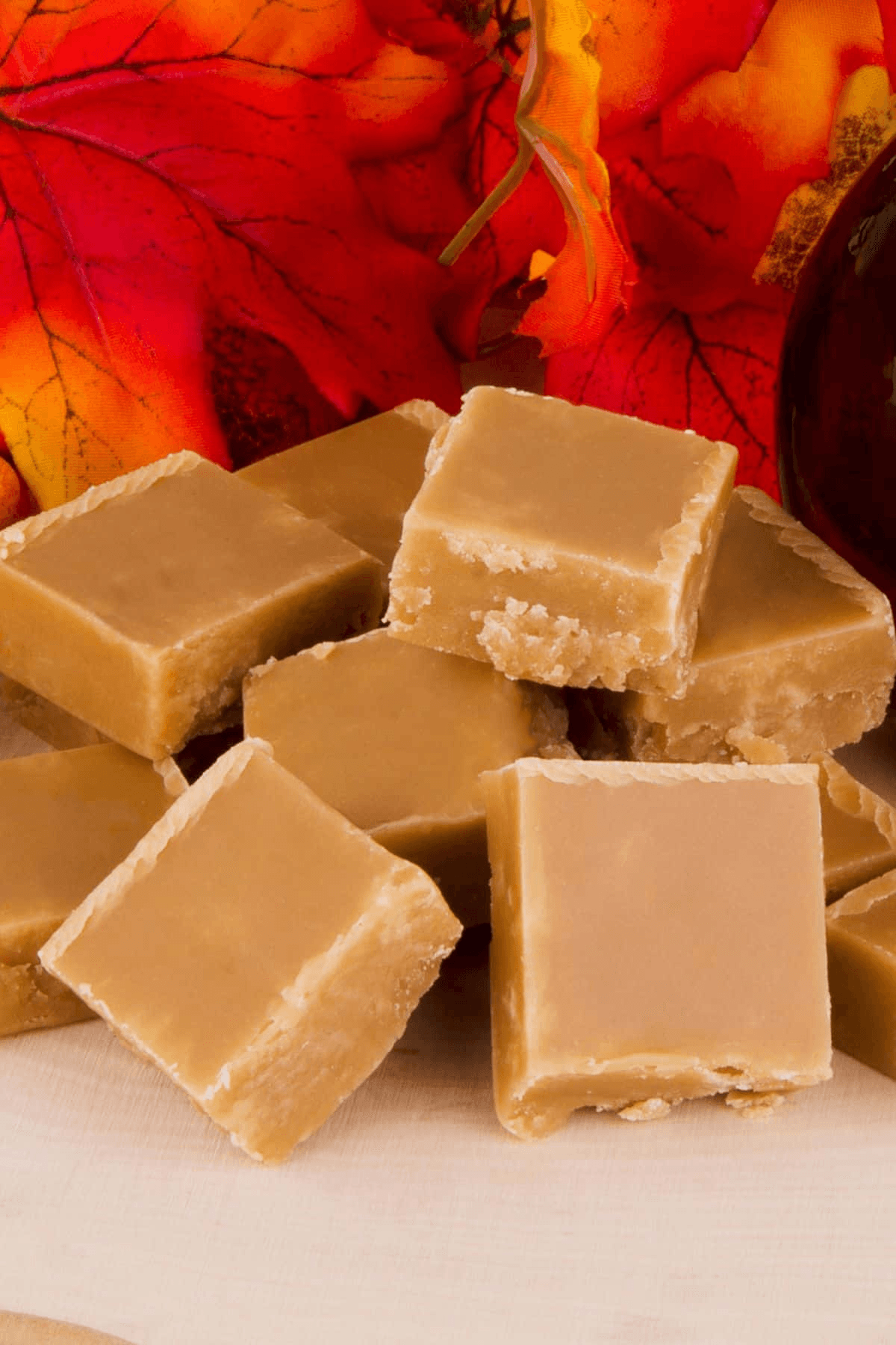 Sugar Cube - Premium quality coconut product from WebAdam